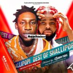 Dj Brytos - Best Of Shallipopi Mixtape