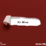 Skiibii ft. BhadBoi OML - No Wam