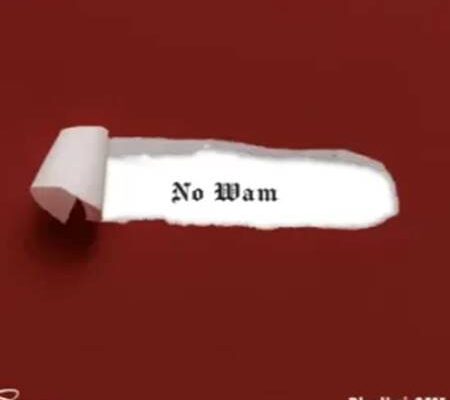 Skiibii ft. BhadBoi OML - No Wam