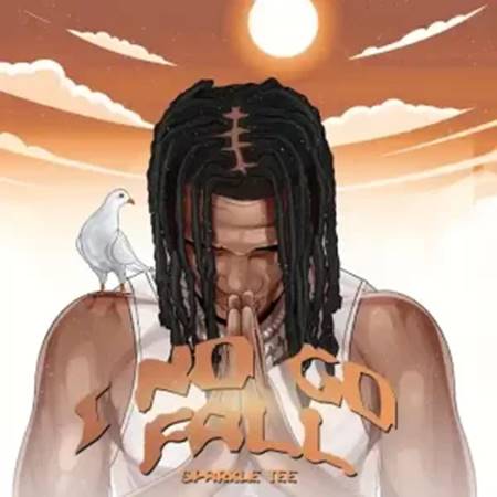 Sparkle Tee - I No Go Fall