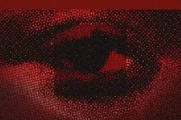 Didi B ft. Mavo - Fire in your Eyes