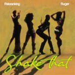Patoranking ft. Ruger - Shake That