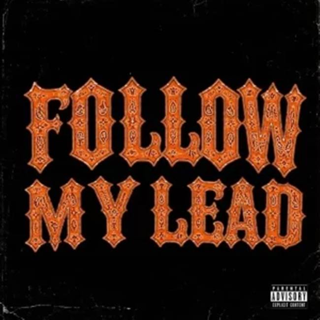 ZerryDL - Follow My Lead