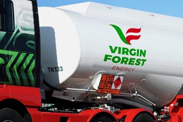 Station Cashier – Onitsha at Virgin Forest Energy Limited